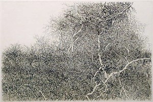 Image description is not available for 1983.004